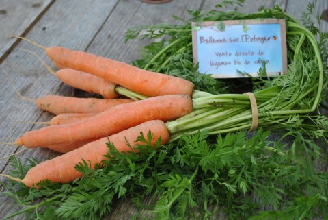 Tarte aux fanes de carottes et graines de sésame
